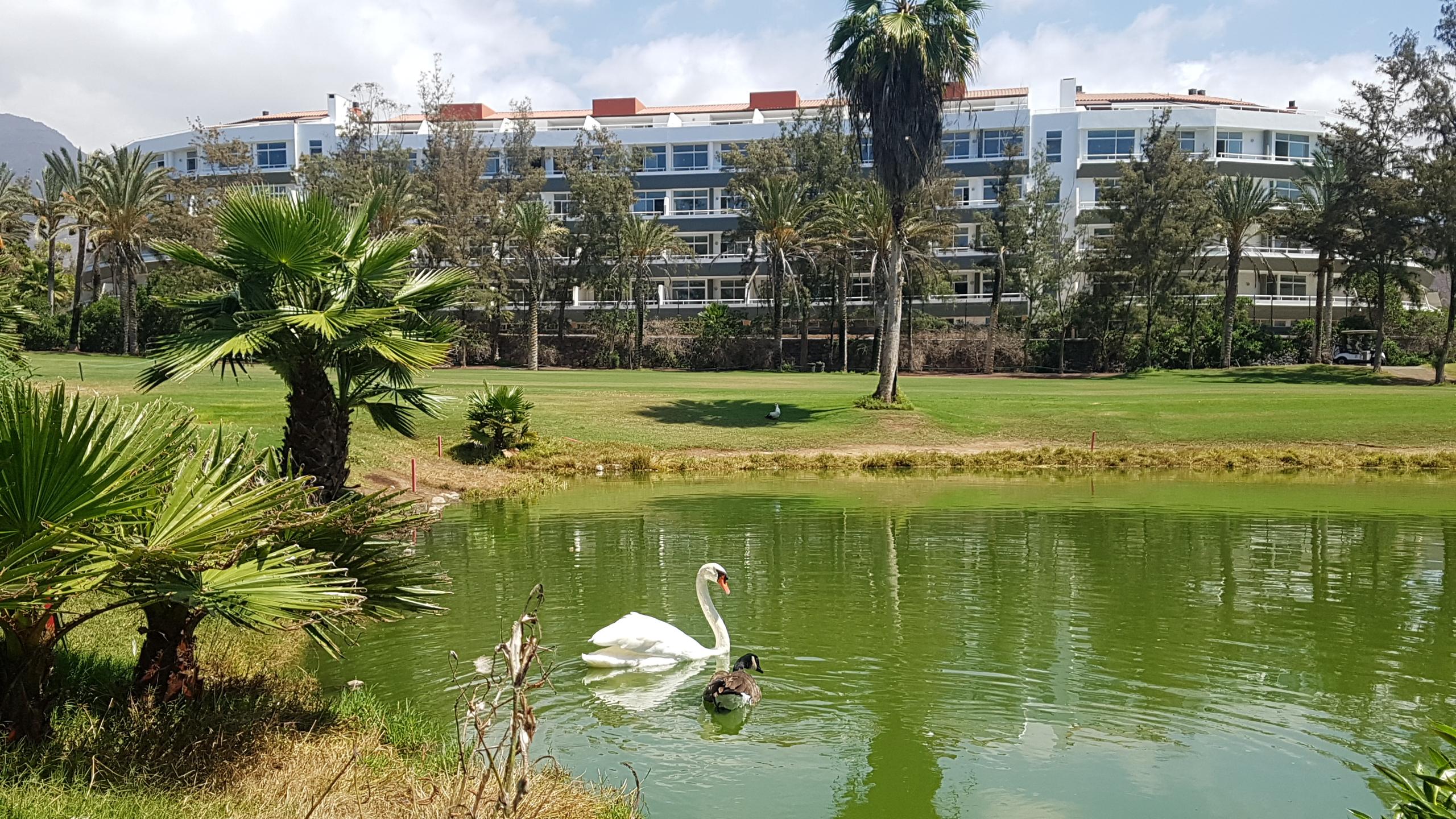 Gara Suites Golf & Spa Playa de las Américas Kültér fotó